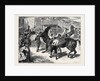 Rome: The Carnival Races: The Barberi Going Up to the Start by Anonymous