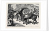 Rome: The Carnival Races: The Barberi Going Up to the Start by Anonymous