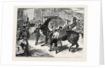 Rome: The Carnival Races: The Barberi Going Up to the Start by Anonymous