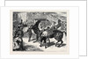 Rome: The Carnival Races: The Barberi Going Up to the Start by Anonymous