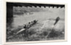The Oxford and Cambridge Boat Race: Under Hammersmith Bridge by Anonymous