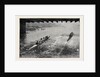 The Oxford and Cambridge Boat Race: Under Hammersmith Bridge by Anonymous
