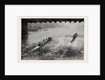 The Oxford and Cambridge Boat Race: Under Hammersmith Bridge by Anonymous
