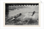 The Oxford and Cambridge Boat Race: Under Hammersmith Bridge by Anonymous