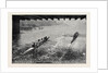 The Oxford and Cambridge Boat Race: Under Hammersmith Bridge by Anonymous