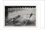 The Oxford and Cambridge Boat Race: Under Hammersmith Bridge by Anonymous