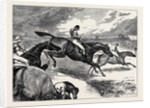 Steeplechasing: The Last Brook by Anonymous
