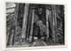 H.M.S. Lord Clyde in the Dry Dock at Malta by Anonymous