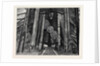 H.M.S. Lord Clyde in the Dry Dock at Malta by Anonymous