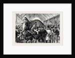 The Sale of a Menagerie: Knocking Down the Elephant by Anonymous