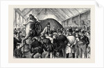 The Sale of a Menagerie: Knocking Down the Elephant by Anonymous