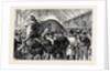 The Sale of a Menagerie: Knocking Down the Elephant by Anonymous