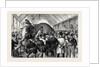 The Sale of a Menagerie: Knocking Down the Elephant by Anonymous