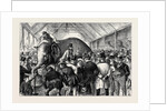 The Sale of a Menagerie: Knocking Down the Elephant by Anonymous