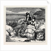 Experiments with Gun-Cotton Near Hastings: Out of Danger by Anonymous