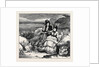 Experiments with Gun-Cotton Near Hastings: Out of Danger by Anonymous