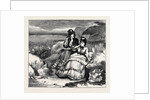 Experiments with Gun-Cotton Near Hastings: Out of Danger by Anonymous