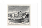 Experiments with Gun-Cotton Near Hastings: One Minute after the Explosion by Anonymous