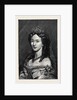 The Empress Augusta of Germany by Anonymous