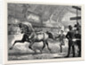 Trotting at the Islington Horse Show by Anonymous