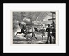 Trotting at the Islington Horse Show by Anonymous