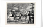 Trotting at the Islington Horse Show by Anonymous