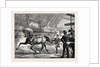 Trotting at the Islington Horse Show by Anonymous