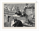 Rome: Shaving Dogs on the Steps of the Trinita De Monti by Anonymous