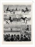 A Parisian Horse Show by Anonymous