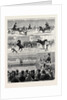 A Parisian Horse Show by Anonymous