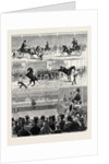 A Parisian Horse Show by Anonymous
