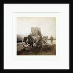 From Gardner Photographic Art Gallery, Seventh Street, Washington. Title, Across the Continent on the Union Pacific Railway, Eastern Division. A Rare Specimen Found on Hill above Fort Riley, Kansas, 1867 by Anonymous