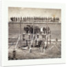 Execution of the Conspirators, the Drop. Photographic Incidents of the War from Gardner Photographic Art Gallery, Seventh Street, Washington, Photographer to the Army of the Potomac by Anonymous