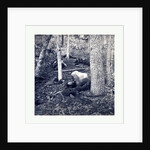 American Civil War: The Slaughter Pen at Gettysburg, Dead Soldiers in an Area Called the Slaughter Pen to the Right of the Union Line at the Foot of Round Top in Gettysburg in July of 1863 by Anonymous