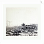 American Civil War: Where Sumner's Corps Charged at Antietam, Dead Soldiers, Horses, and Broken Gun Carriages after General Sumner's Corps Charged Over This Field on the Battlefied of Antietam on Sept. 17, 1862 by Anonymous