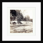 American Civil War: Burnside Bridge, Antietam, Sept., 1862 by Anonymous