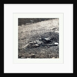 American Civil War: War Effect of a Shell on a Confederate Soldier at Battle of Gettysburg, Emains of a Dead Soldier on the Battlefield by Anonymous