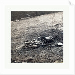 American Civil War: War Effect of a Shell on a Confederate Soldier at Battle of Gettysburg, Emains of a Dead Soldier on the Battlefield by Anonymous