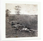 American Civil War: Gathered Together for Burial after the Battle of Antietam, Dead Bodies on the Ground by Anonymous