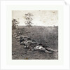 American Civil War: Gathered Together for Burial after the Battle of Antietam, Dead Bodies on the Ground by Anonymous
