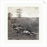 American Civil War: Gathered Together for Burial after the Battle of Antietam, Dead Bodies on the Ground by Anonymous