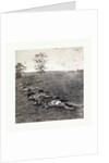 American Civil War: Gathered Together for Burial after the Battle of Antietam, Dead Bodies on the Ground by Anonymous