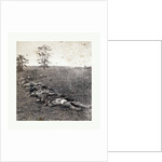 American Civil War: Gathered Together for Burial after the Battle of Antietam, Dead Bodies on the Ground by Anonymous