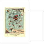 The Corsican Spider in His Web by Anonymous