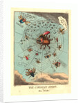 The Corsican Spider in His Web by Anonymous