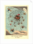 The Corsican Spider in His Web by Anonymous