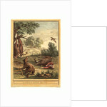 Untitled by Anonymous