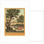 Le Corbeau, La Gazelle, La Tortue Et Le Rat (the Crow, the Gazelle, the Tortoise, and the Rat) by Anonymous