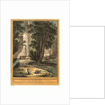 Les Deux Rats, Le Renard Et L'Oeuf (Two Rats,the Fox, and the Egg) by Anonymous