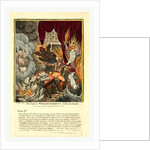 The Life of William Cobbett by Anonymous